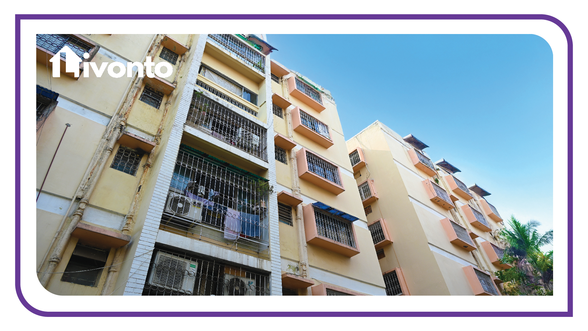 Livonto 1055 - Image 2