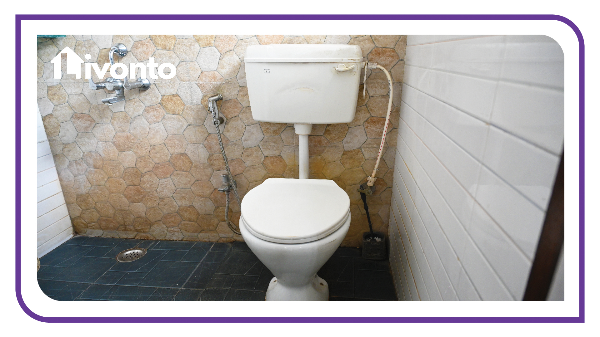 Livonto 1058 - Image 4