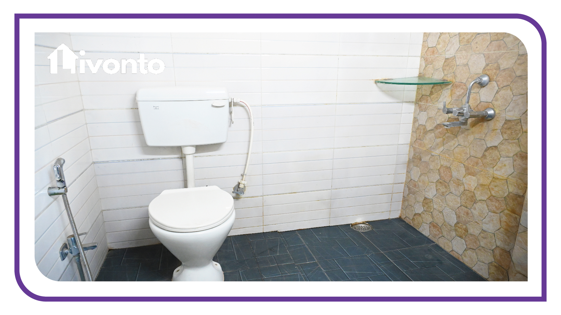 Livonto 1058 - Image 5