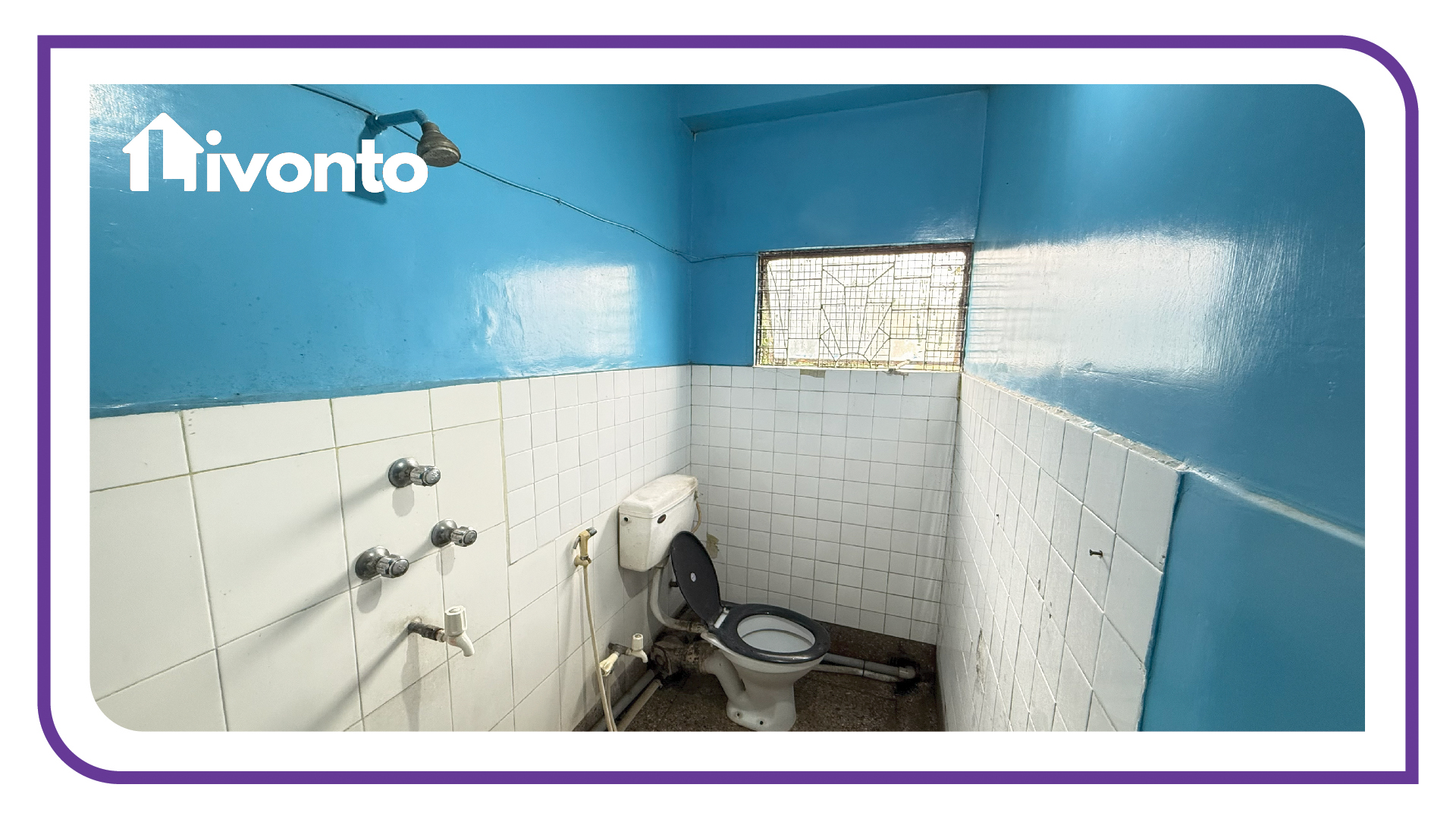 Livonto 1062 - Image 15