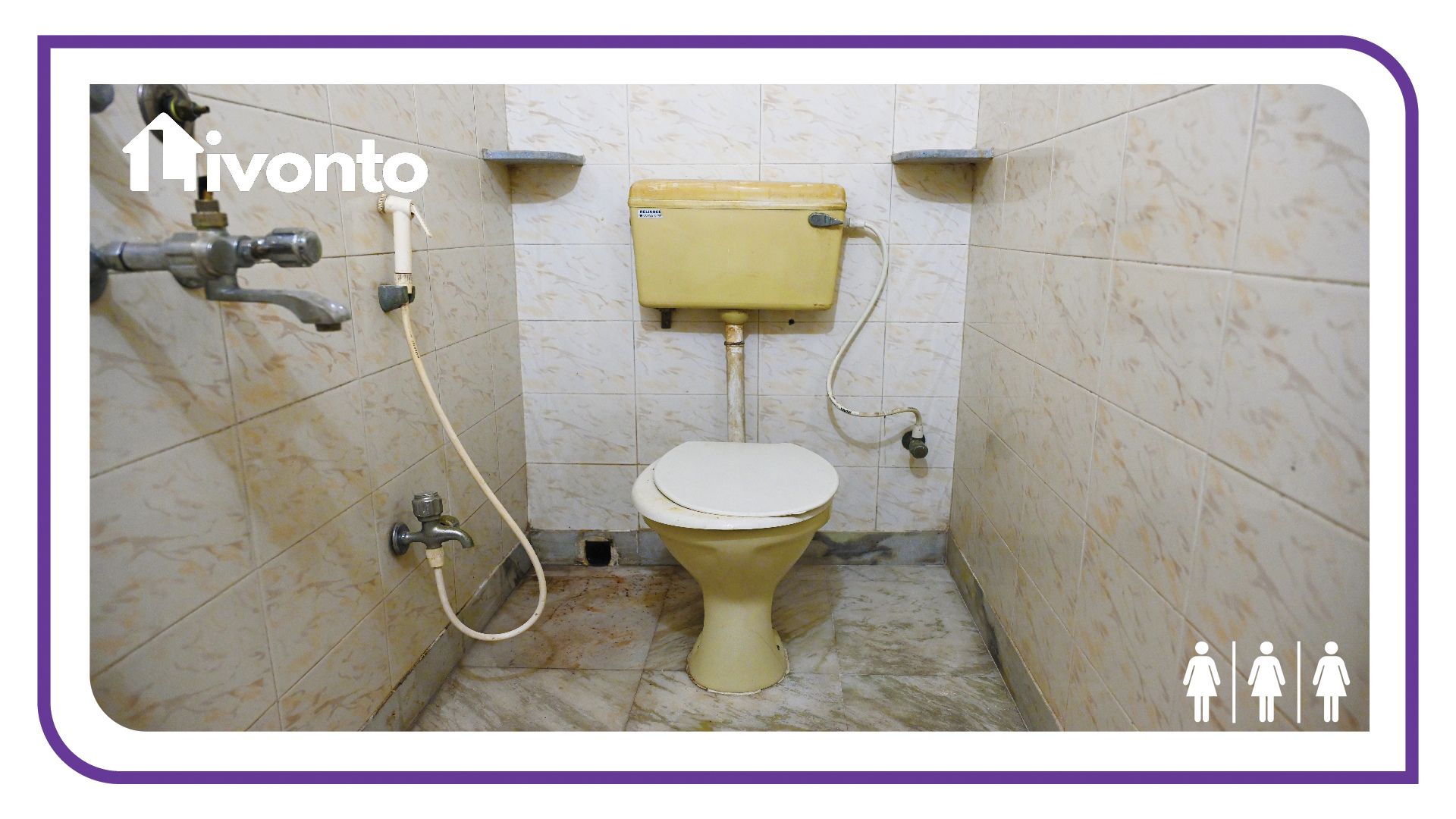 Livonto 1063 - Image 3