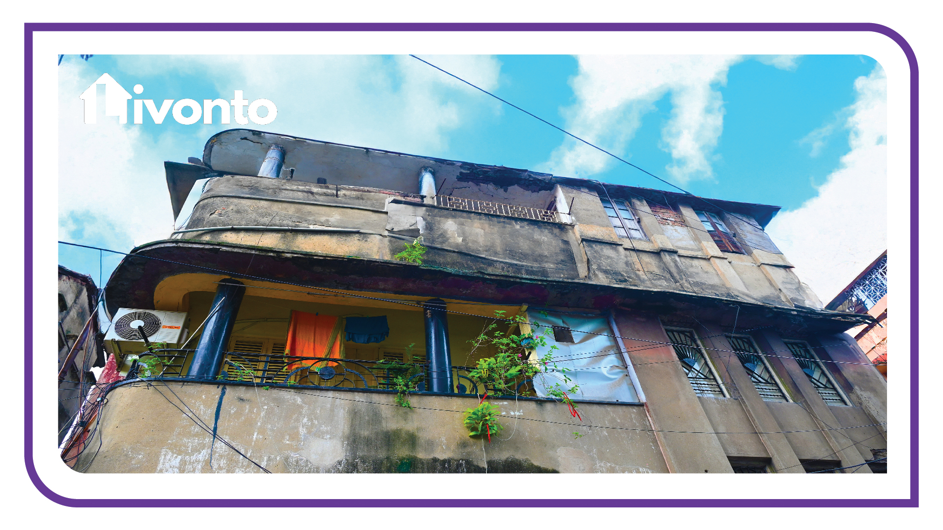 Livonto 1063 - Image 8