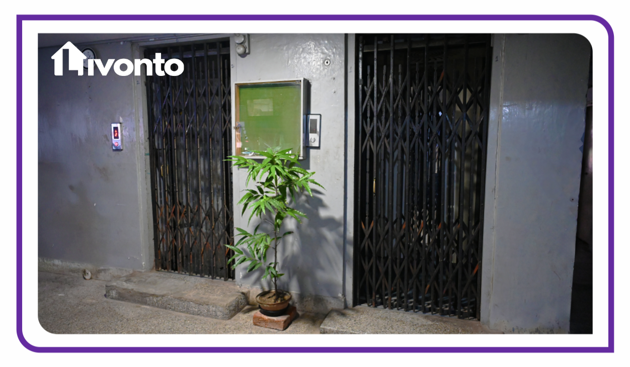Livonto 1068 - Image 12