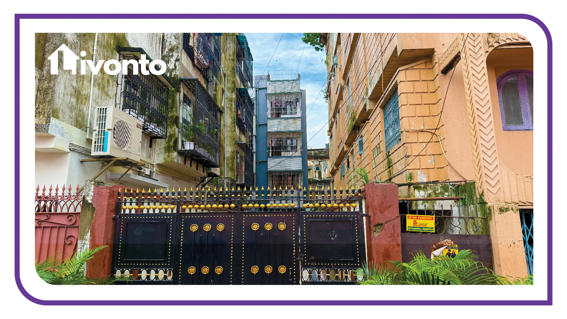 Livonto 1069 - Image 4