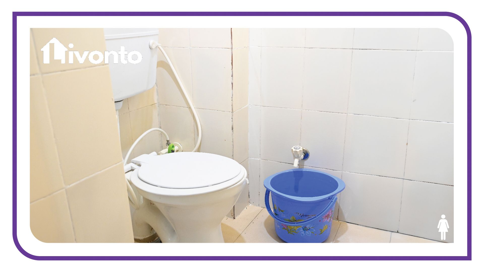 Livonto 1077 - Image 3
