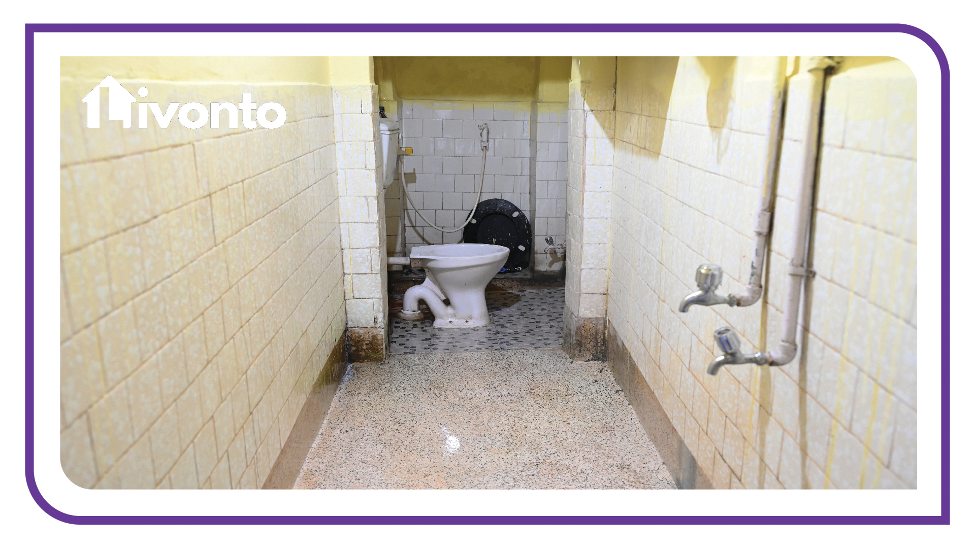 Livonto 1077 - Image 10