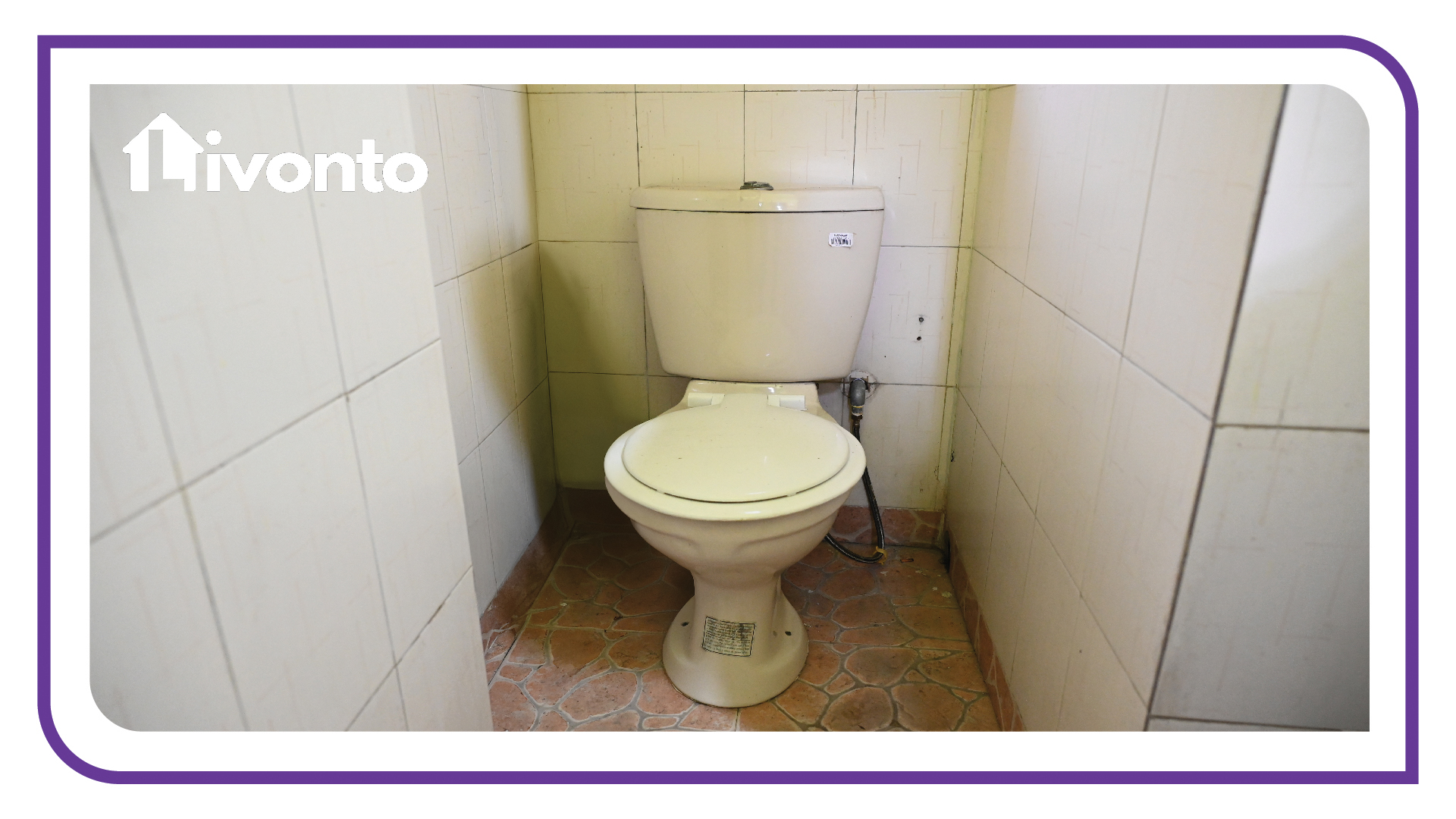 Livonto 1079 - Image 7
