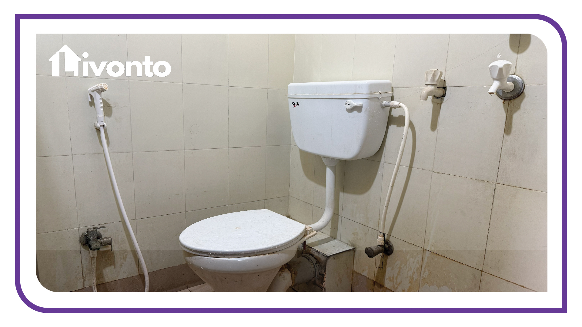 Livonto 1082 - Image 5